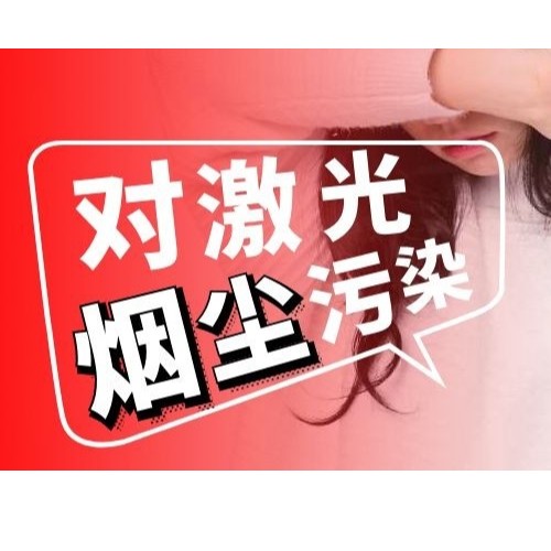 執(zhí)信環(huán)保小型工業(yè)集塵器,合理釋放車(chē)間空間環(huán)境！